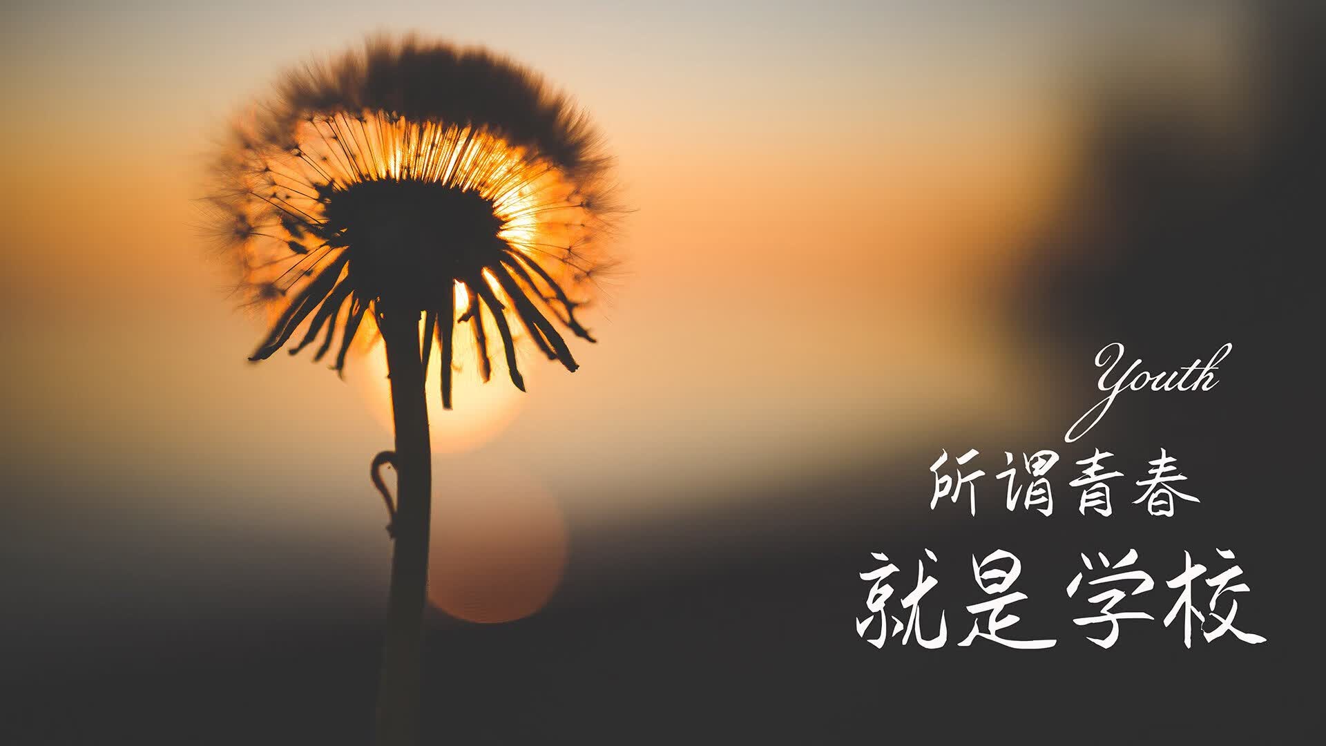 世界帆船赛事海上救援演练录像教材化项目招生通知